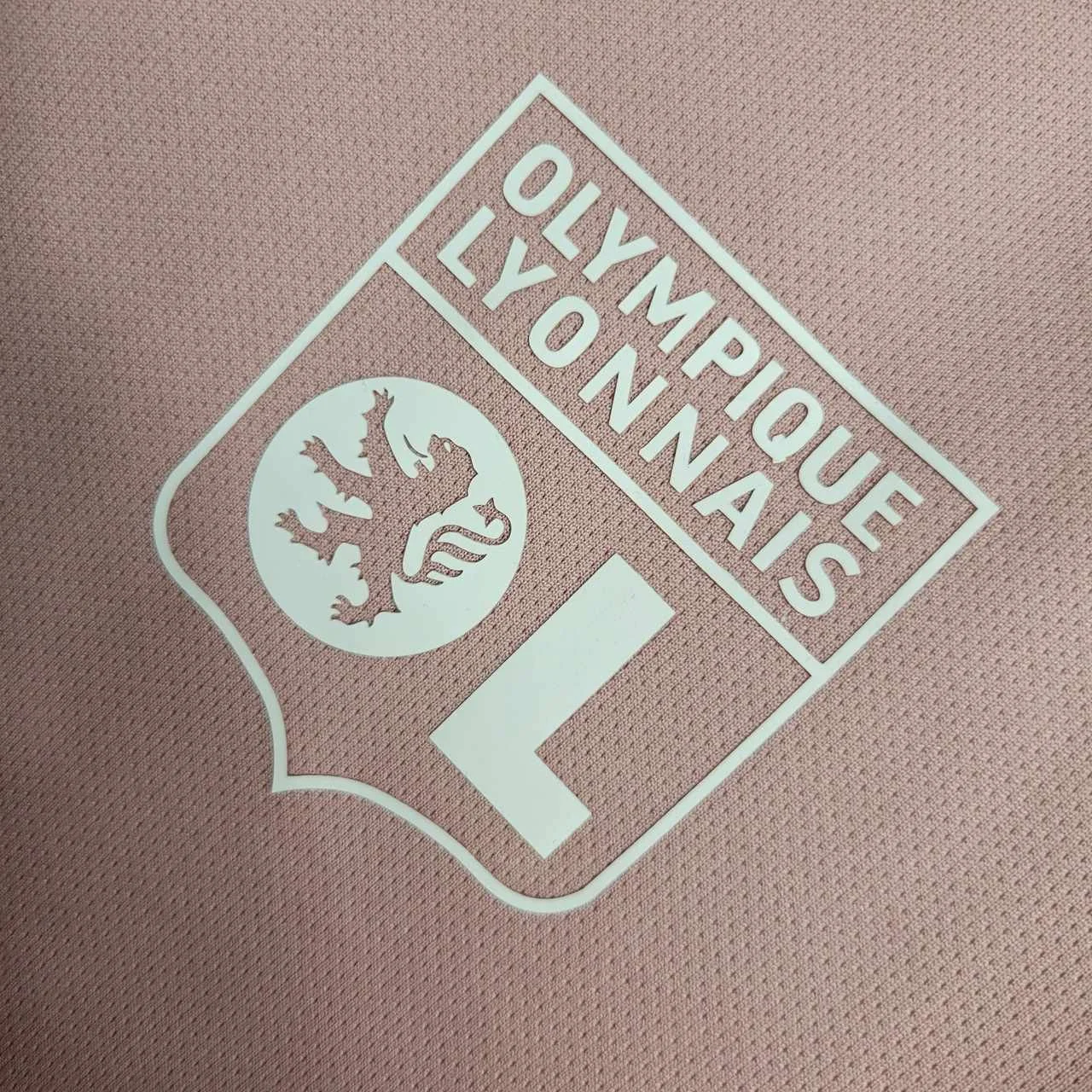 Camisa de treino Lyon 23/24 Rosa