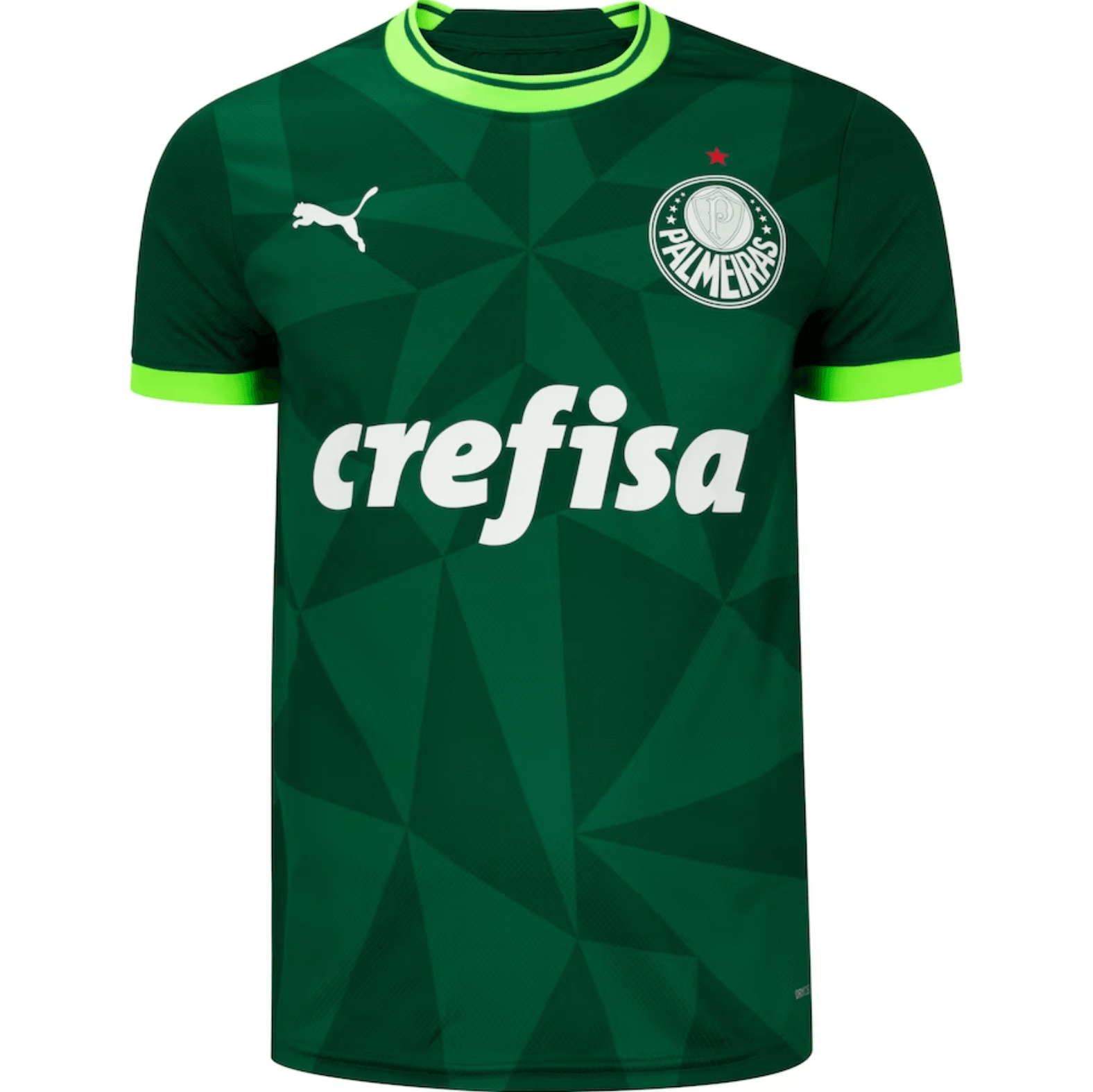 Camisa Palmeiras I 23/24 Puma - Verde - Loja da Seven Oficial