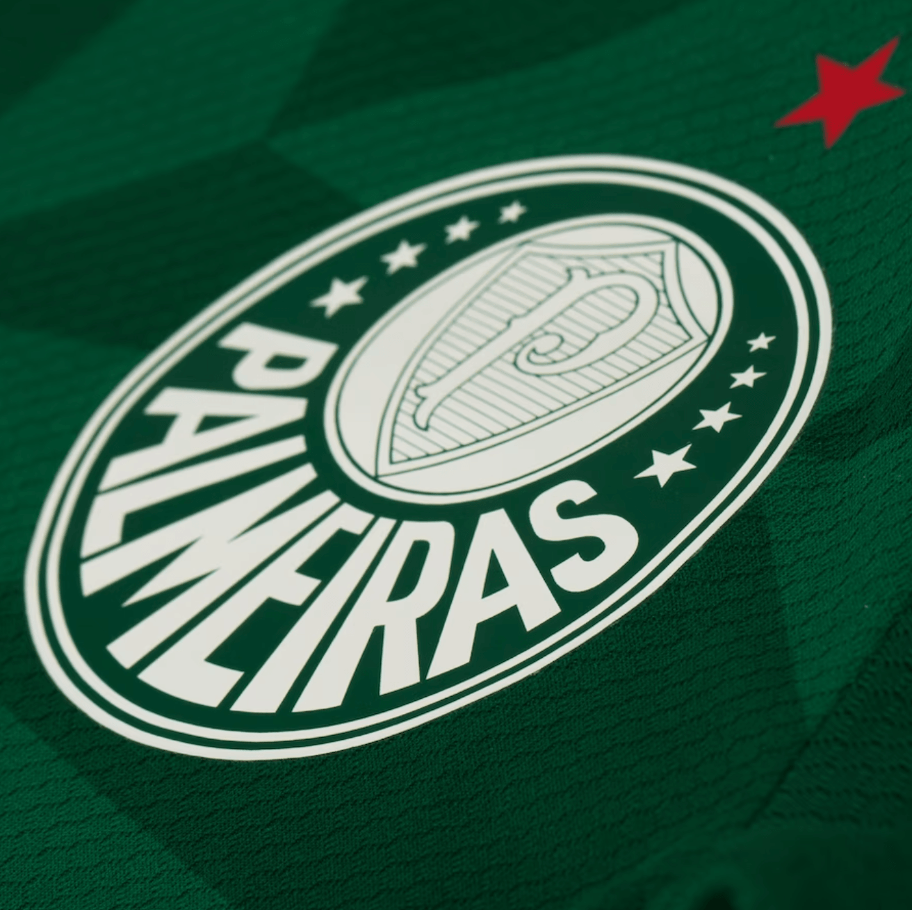 Camisa Palmeiras I 23/24 Puma - Verde - Loja da Seven Oficial